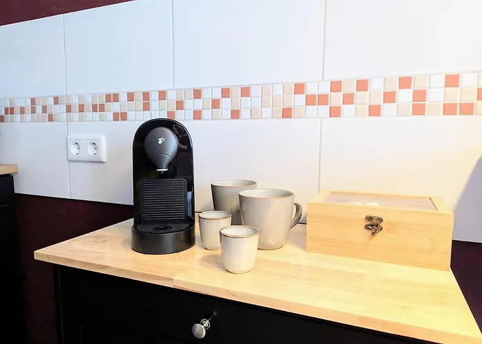 Neueröffnung Cozy Terrace Park Spot Chemnitz